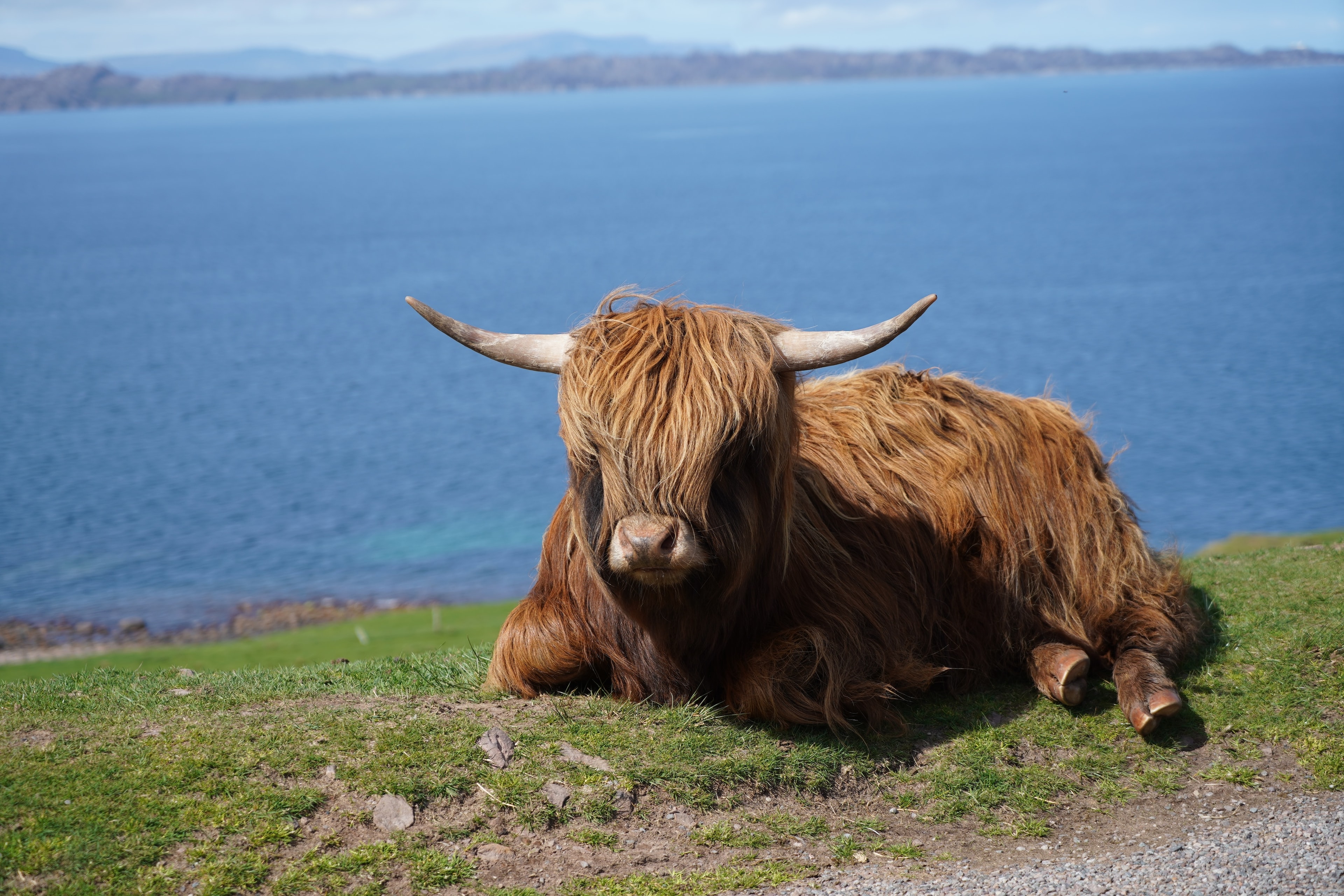 ILCE-7M3 - April 2019