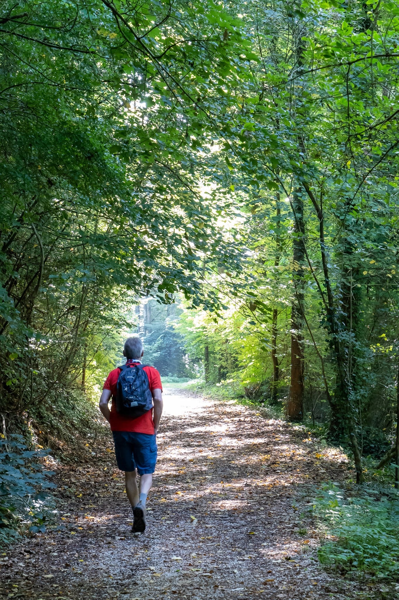 ILCE-7M3 - September 2019