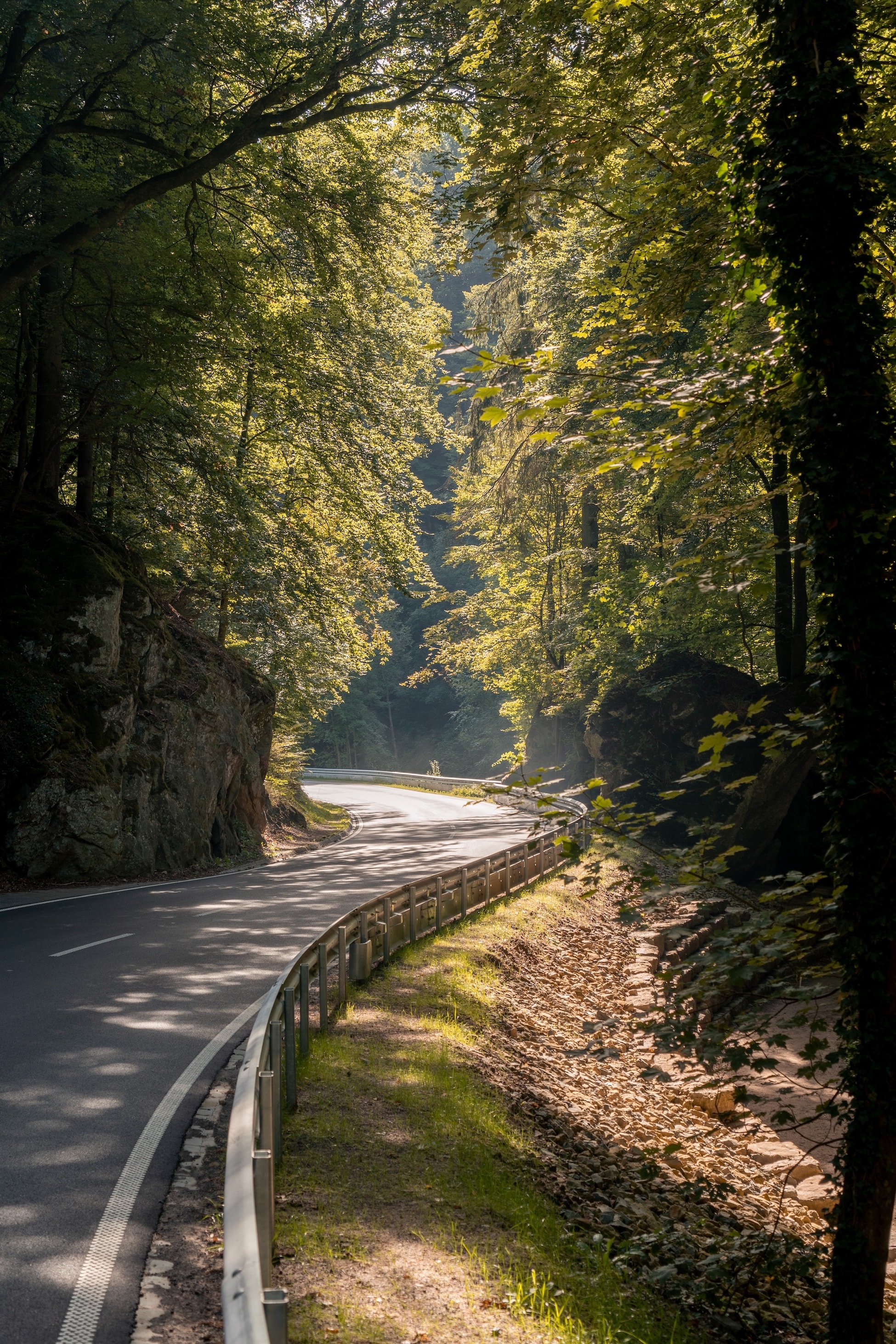 ILCE-7M3 - September 2019