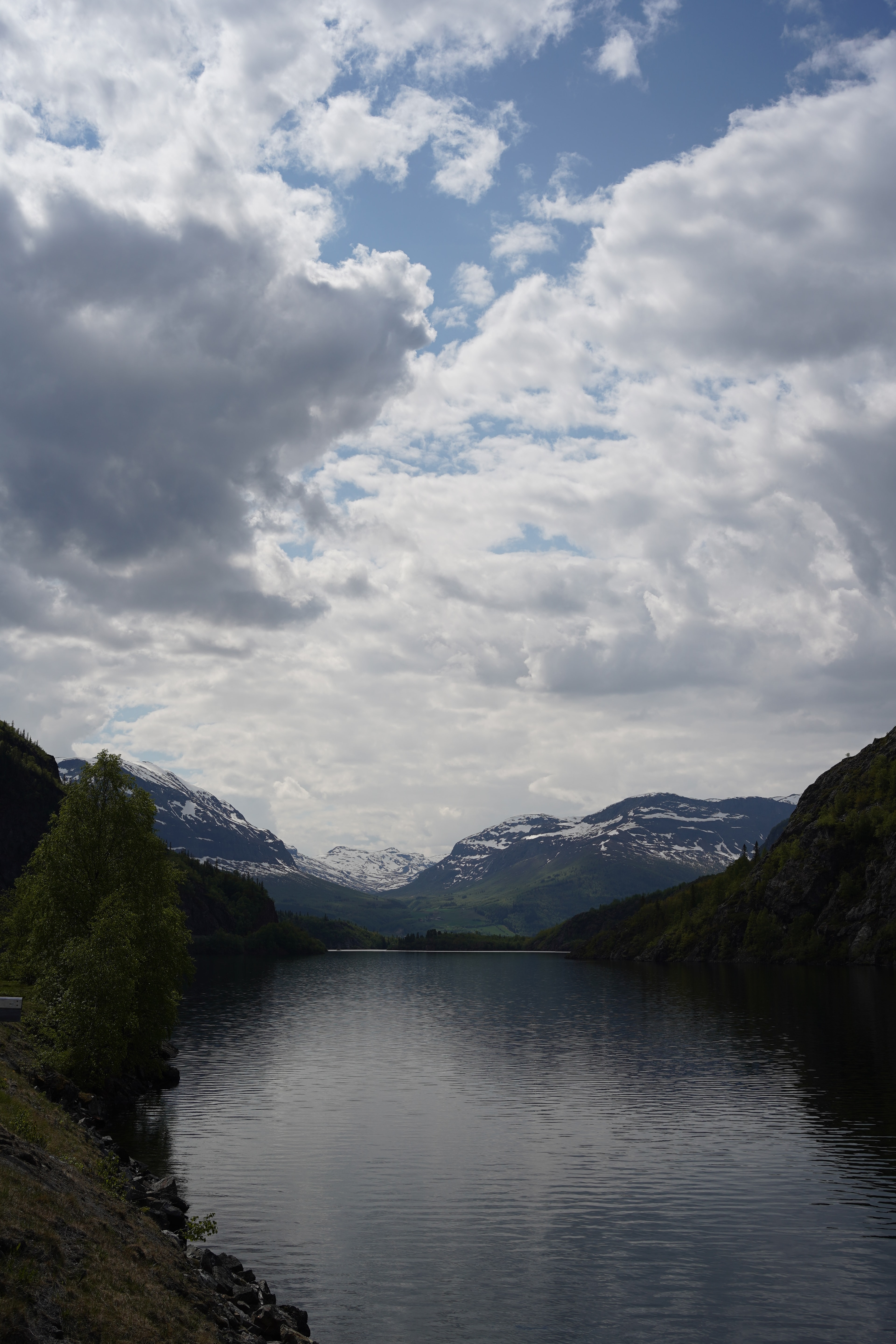 ILCE-7M3 - June 2023