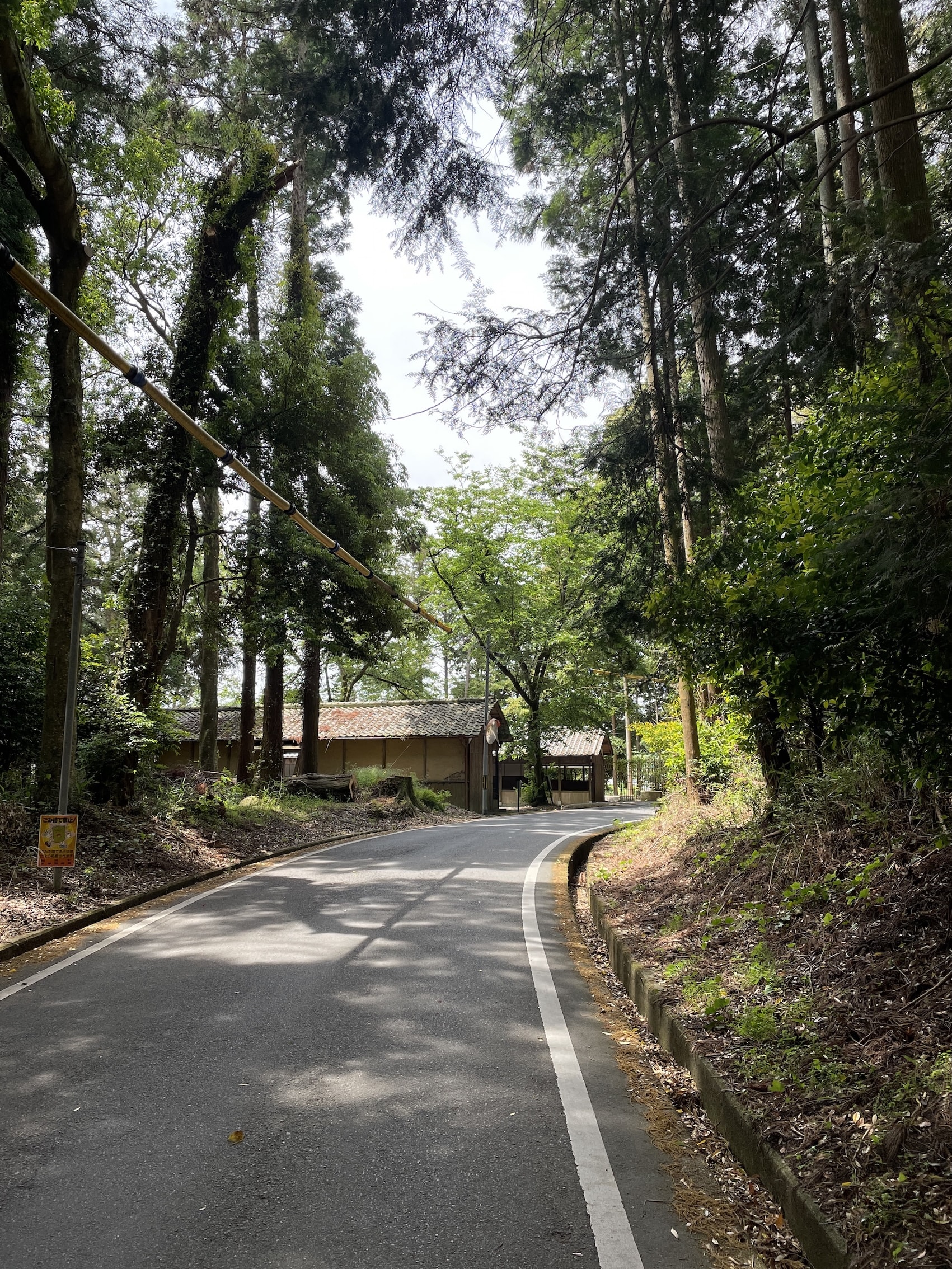 iPhone 12 Pro - May 2023