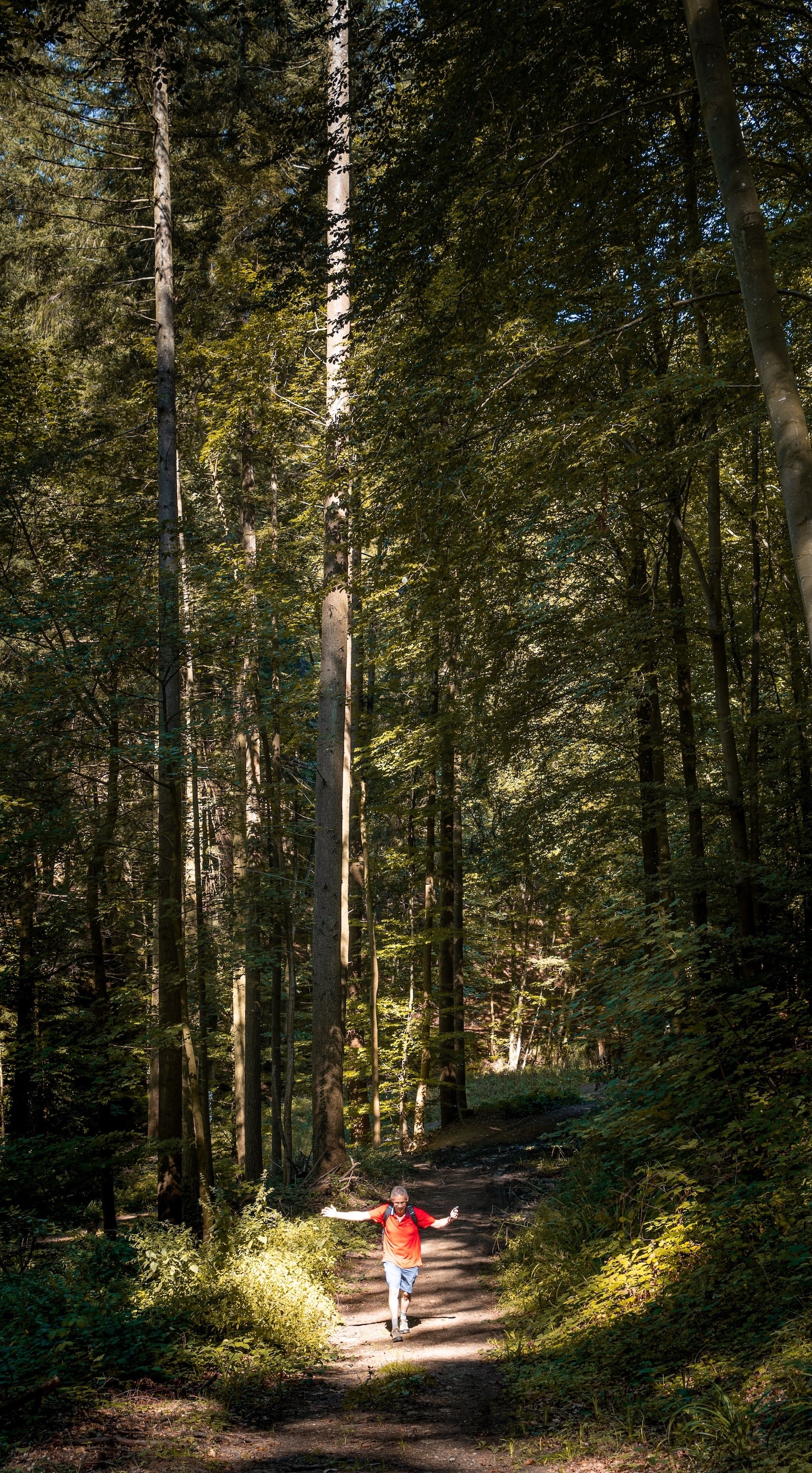 ILCE-7M3 - September 2019