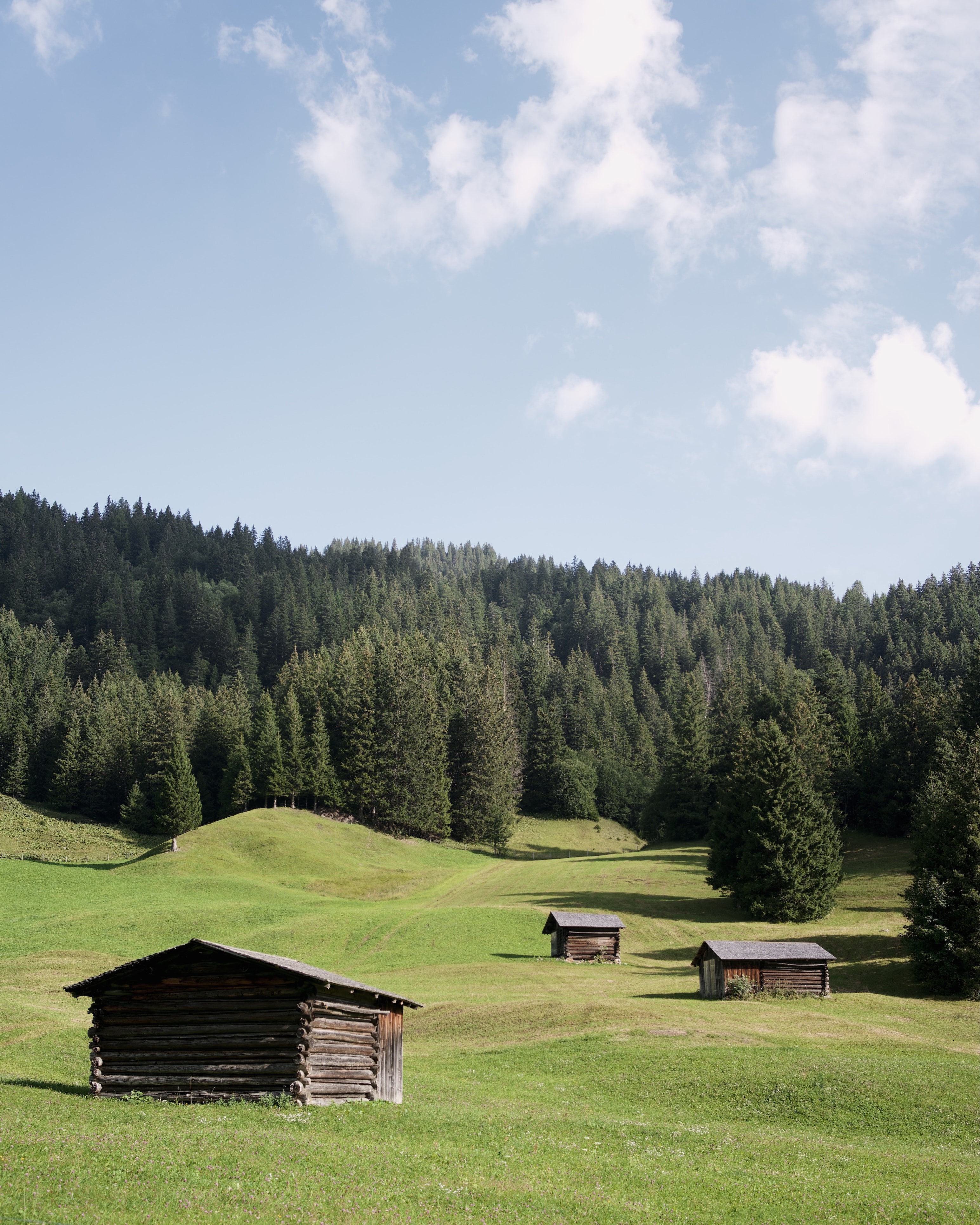 ILCE-7RM4 - August 2023