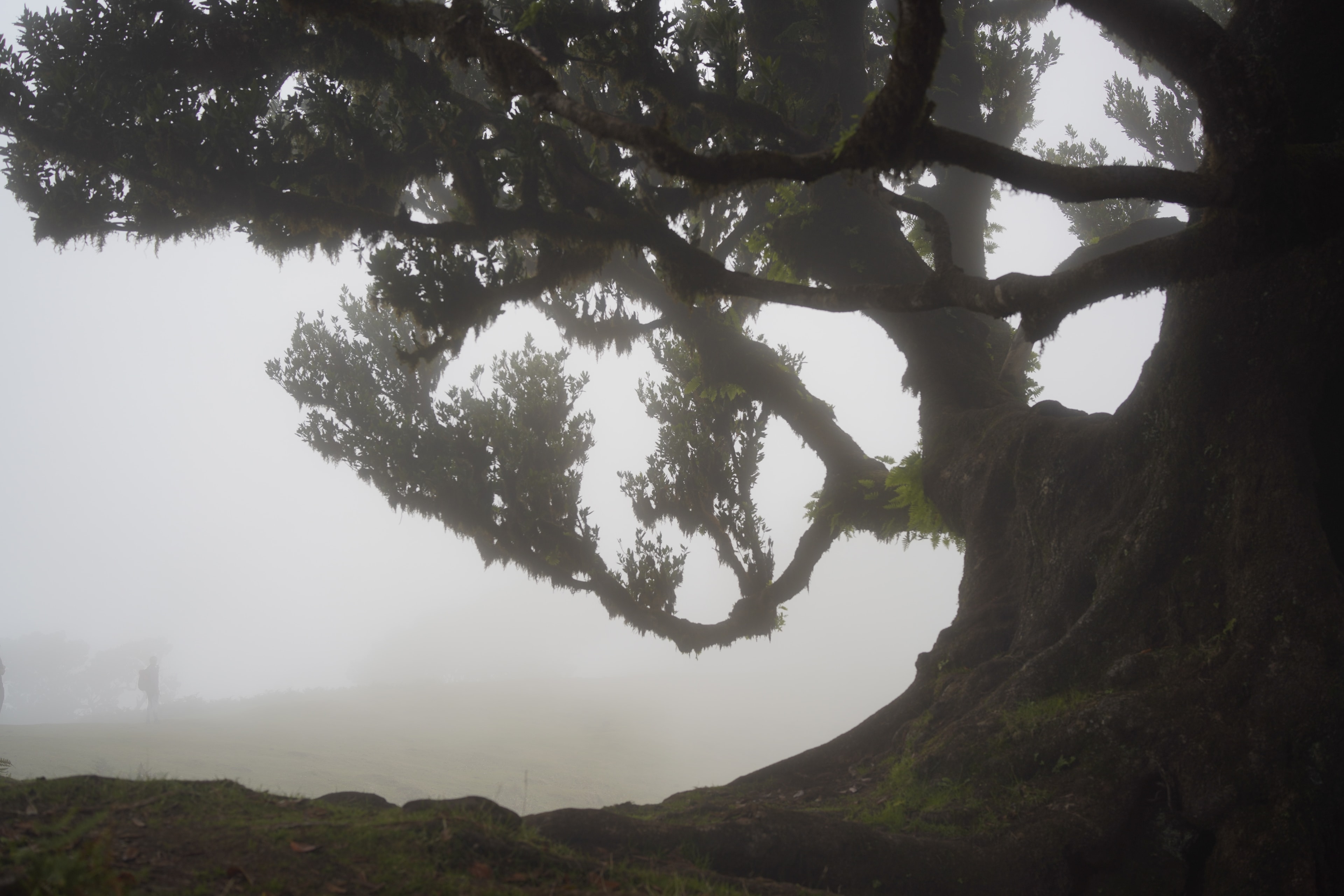 ILCE-7RM4 - September 2023