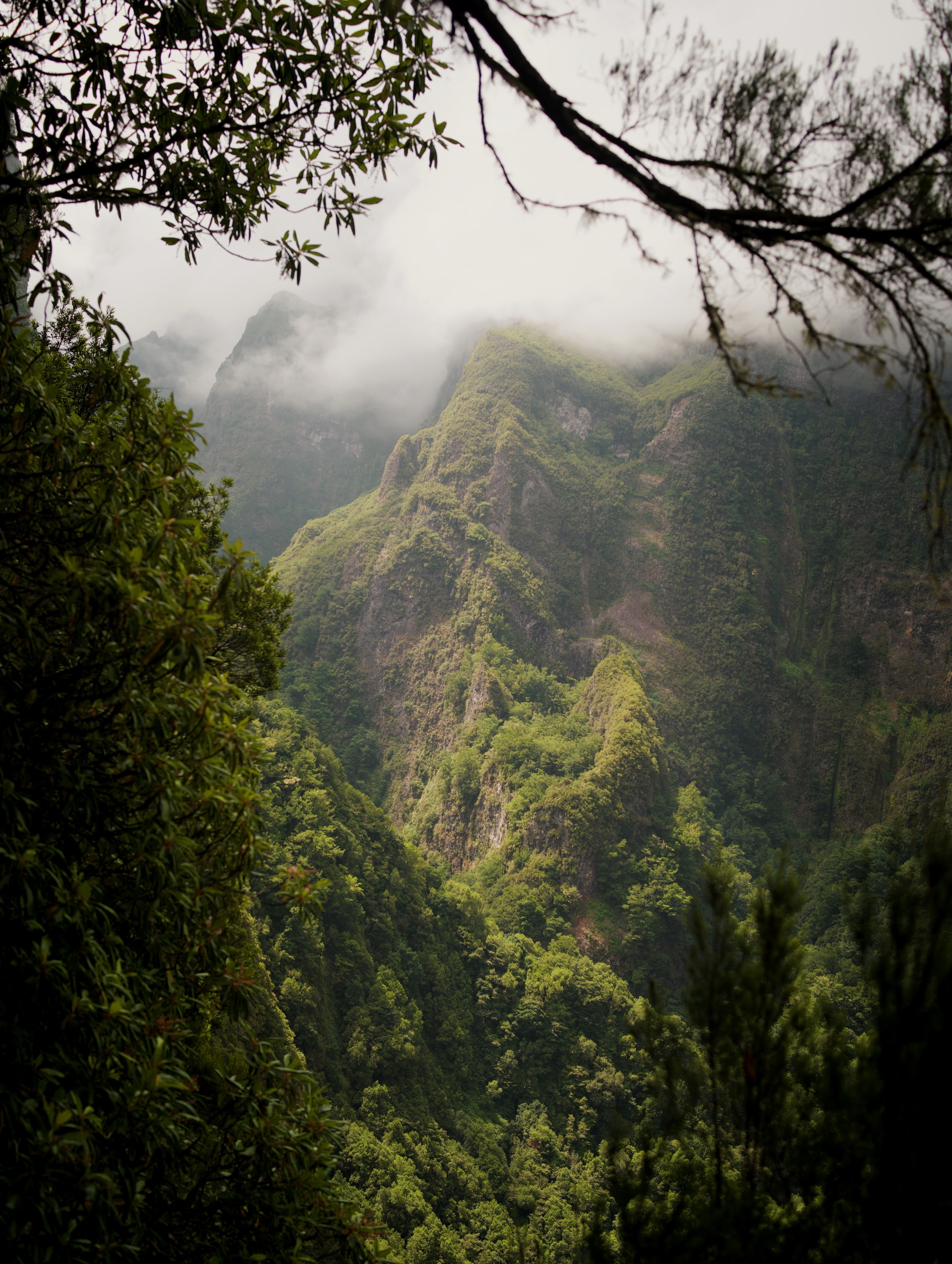 ILCE-7RM4 - September 2023