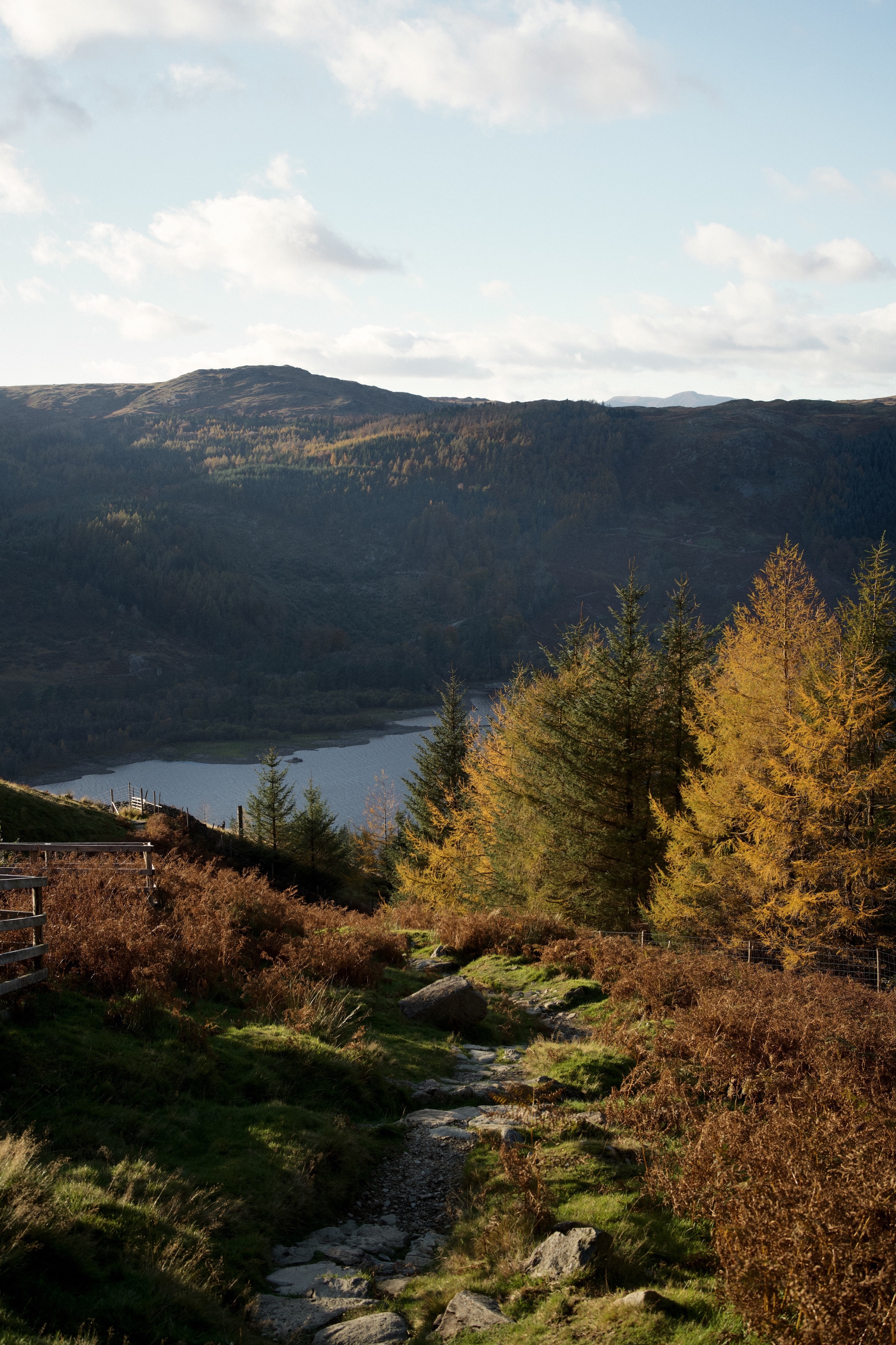 ILCE-7RM4 - October 2025