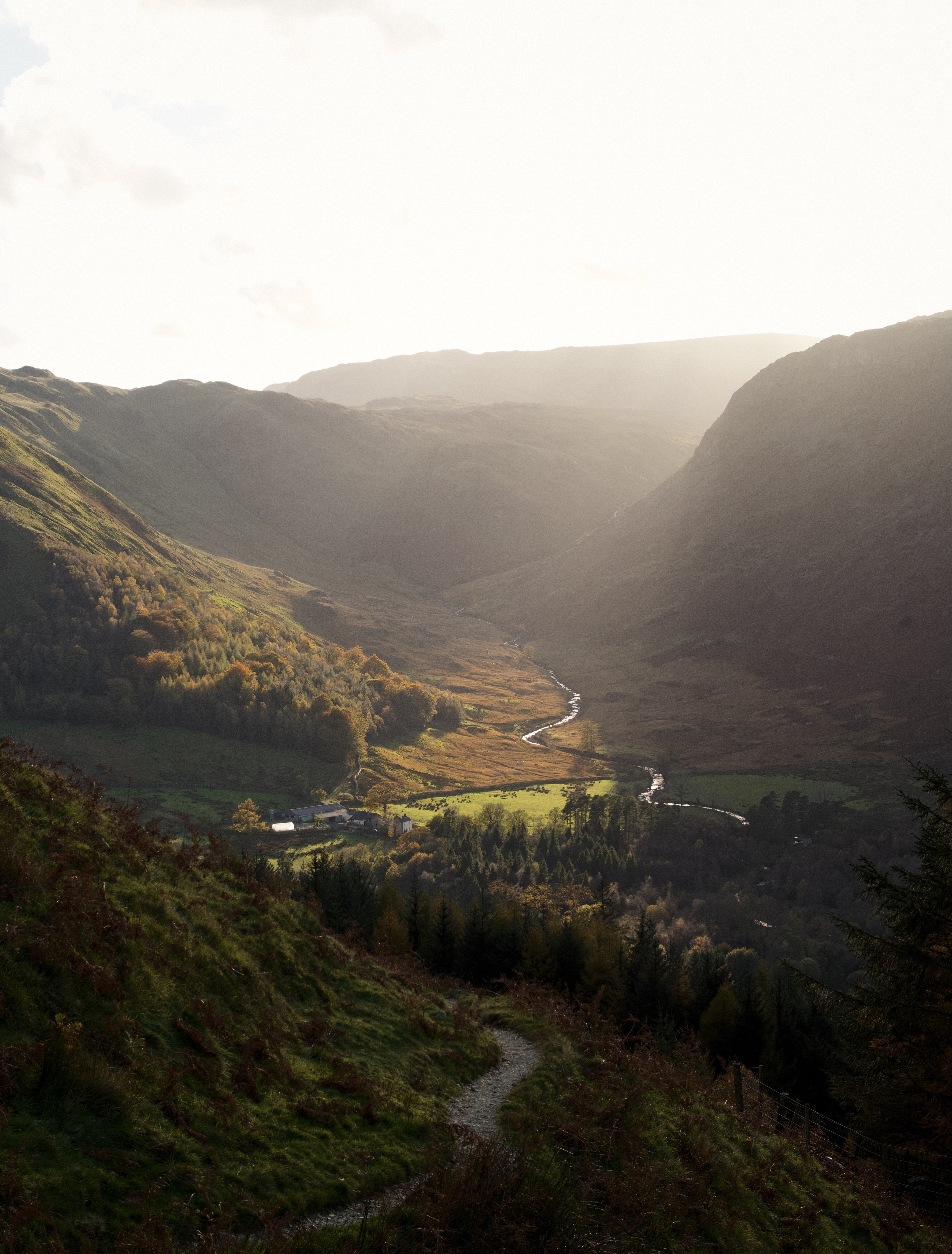 ILCE-7RM4 - October 2025